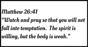 the spirit is willing