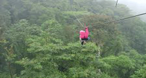 rainforest in Costa Rica